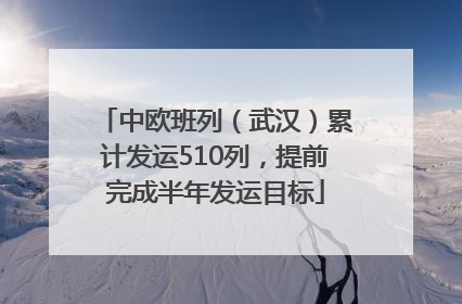 中欧班列（武汉）累计发运510列，提前完成半年发运目标