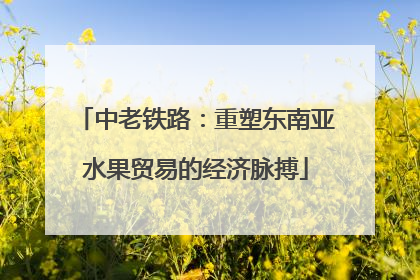 中老铁路：重塑东南亚水果贸易的经济脉搏