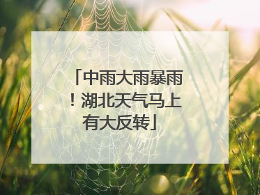 中雨大雨暴雨！湖北天气马上有大反转