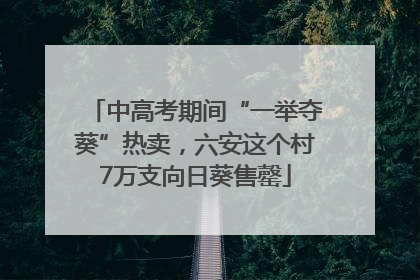 中高考期间“一举夺葵”热卖，六安这个村7万支向日葵售罄