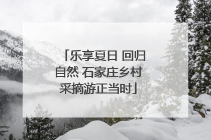 乐享夏日 回归自然 石家庄乡村采摘游正当时