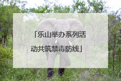乐山举办系列活动共筑禁毒防线