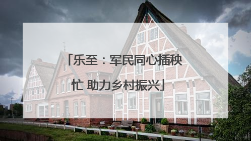乐至：军民同心插秧忙 助力乡村振兴