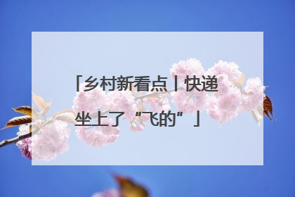 乡村新看点丨快递坐上了“飞的”