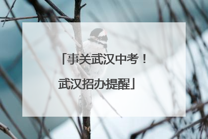 事关武汉中考！武汉招办提醒
