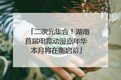 二次元集合！湖南首届电竞动漫嘉年华本月将在衡启幕