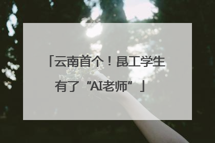 云南首个！昆工学生有了“AI老师”