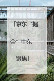 京东“掘金”中东｜聚焦