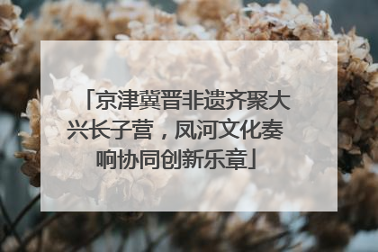 京津冀晋非遗齐聚大兴长子营，凤河文化奏响协同创新乐章
