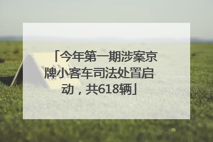 今年第一期涉案京牌小客车司法处置启动，共618辆