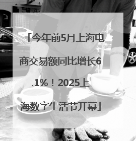 今年前5月上海电商交易额同比增长6.1%！2025上海数字生活节开幕