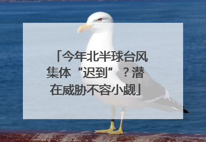 今年北半球台风集体“迟到”？潜在威胁不容小觑