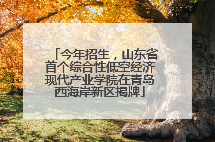 今年招生，山东省首个综合性低空经济现代产业学院在青岛西海岸新区揭牌