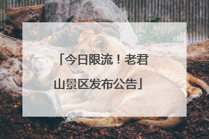 今日限流！老君山景区发布公告