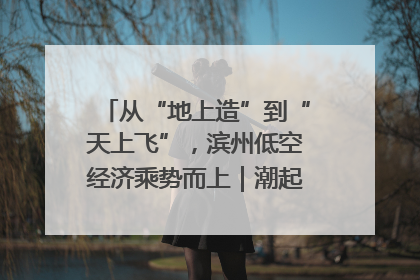 从“地上造”到“天上飞”，滨州低空经济乘势而上｜潮起渤海・网聚黄蓝