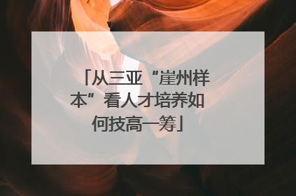 从三亚“崖州样本”看人才培养如何技高一筹