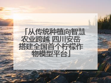 从传统种植向智慧农业跨越 四川安岳搭建全国首个柠檬作物模型平台