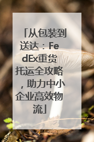 从包装到送达：FedEx重货托运全攻略，助力中小企业高效物流