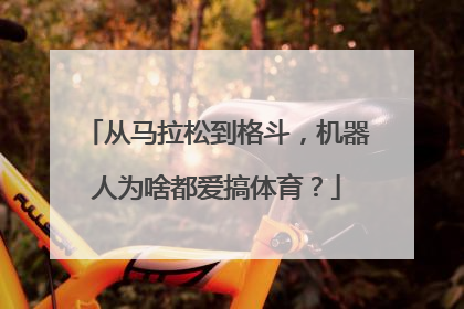 从马拉松到格斗，机器人为啥都爱搞体育？