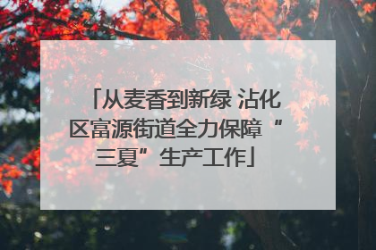 从麦香到新绿 沾化区富源街道全力保障“三夏”生产工作
