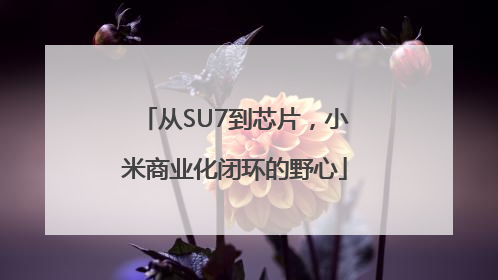 从SU7到芯片，小米商业化闭环的野心