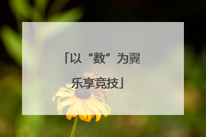 以“数”为翼 乐享竞技