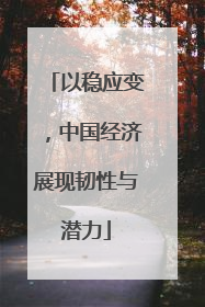 以稳应变，中国经济展现韧性与潜力