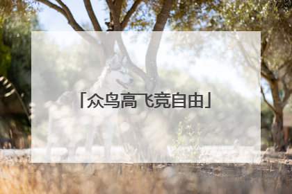 众鸟高飞竞自由