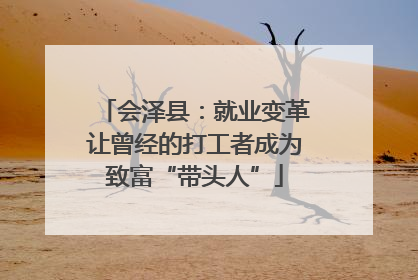 会泽县：就业变革让曾经的打工者成为致富“带头人”