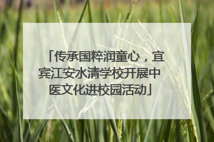 传承国粹润童心，宜宾江安水清学校开展中医文化进校园活动