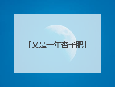 又是一年杏子肥