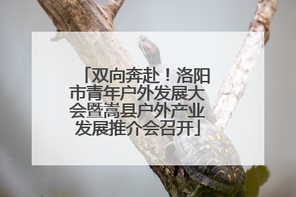 双向奔赴！洛阳市青年户外发展大会暨嵩县户外产业发展推介会召开