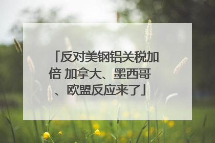 反对美钢铝关税加倍 加拿大、墨西哥、欧盟反应来了