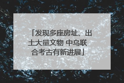 发现多座房址、出土大量文物 中乌联合考古有新进展