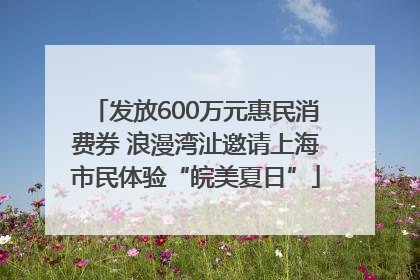 发放600万元惠民消费券 浪漫湾沚邀请上海市民体验“皖美夏日”
