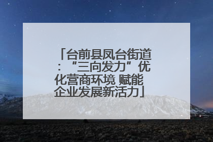 台前县凤台街道：“三向发力”优化营商环境 赋能企业发展新活力