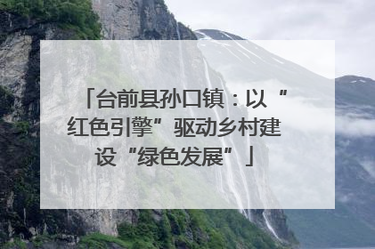 台前县孙口镇：以“红色引擎”驱动乡村建设“绿色发展”
