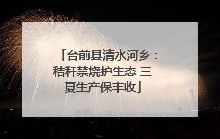 台前县清水河乡：秸秆禁烧护生态 三夏生产保丰收