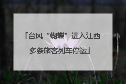 台风“蝴蝶”进入江西 多条旅客列车停运
