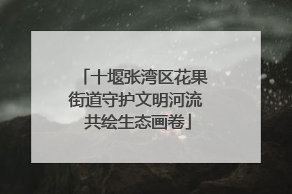 十堰张湾区花果街道守护文明河流 共绘生态画卷