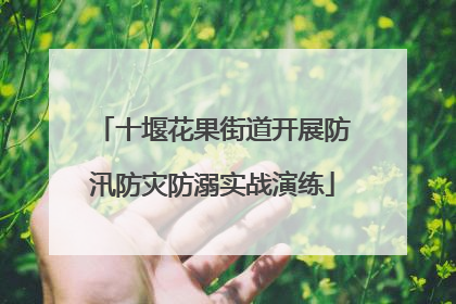 十堰花果街道开展防汛防灾防溺实战演练