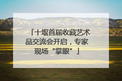 十堰首届收藏艺术品交流会开启，专家现场“掌眼”