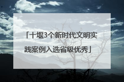 十堰3个新时代文明实践案例入选省级优秀