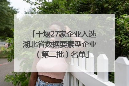 十堰27家企业入选湖北省数据要素型企业（第二批）名单
