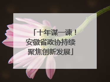 十年谋一谏！安徽省政协持续聚焦创新发展