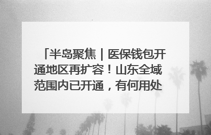 半岛聚焦｜医保钱包开通地区再扩容！山东全域范围内已开通，有何用处？如何操作？速戳→