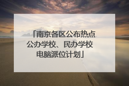 南京各区公布热点公办学校、民办学校电脑派位计划