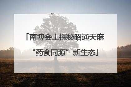 南博会上探秘昭通天麻“药食同源”新生态