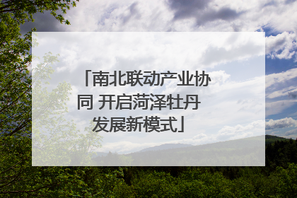 南北联动产业协同 开启菏泽牡丹发展新模式