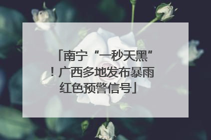 南宁“一秒天黑”！广西多地发布暴雨红色预警信号
